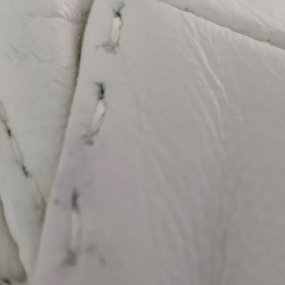 Cream Leather Jacket with Pleated Front Ruffle - Picture 15 of 15